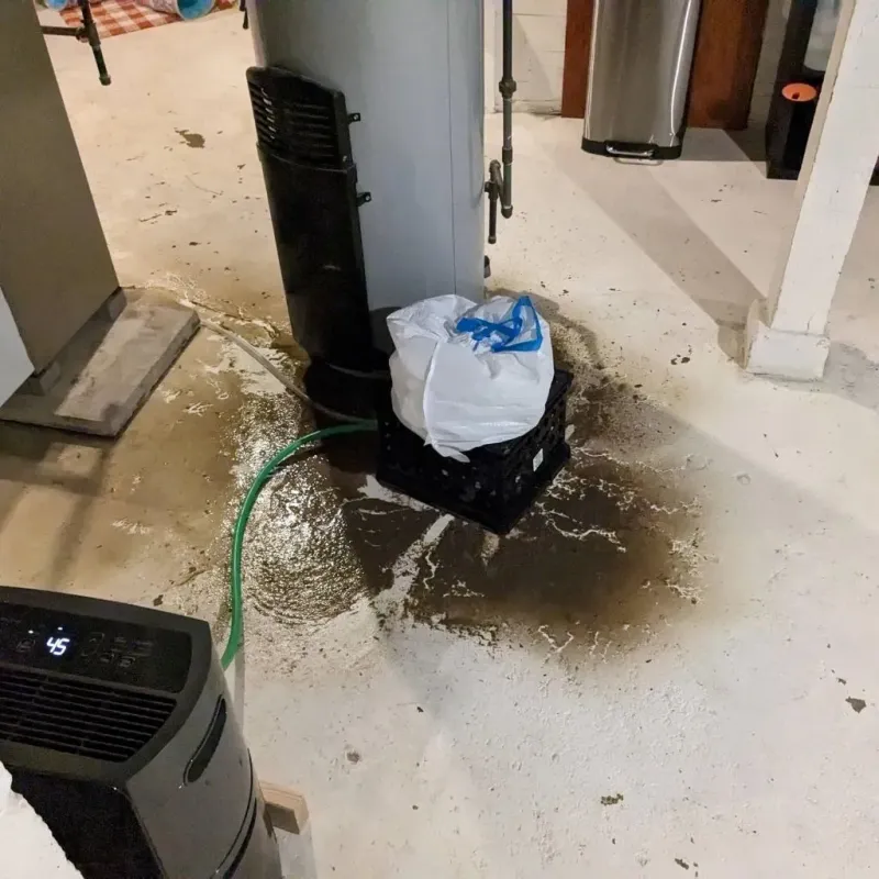 Sewage Backup Cleanup Service in Level Park-Oak Park, MI
